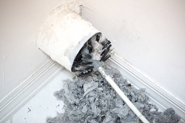 Best Ventilation Cleaning Services  in Carrington, ND